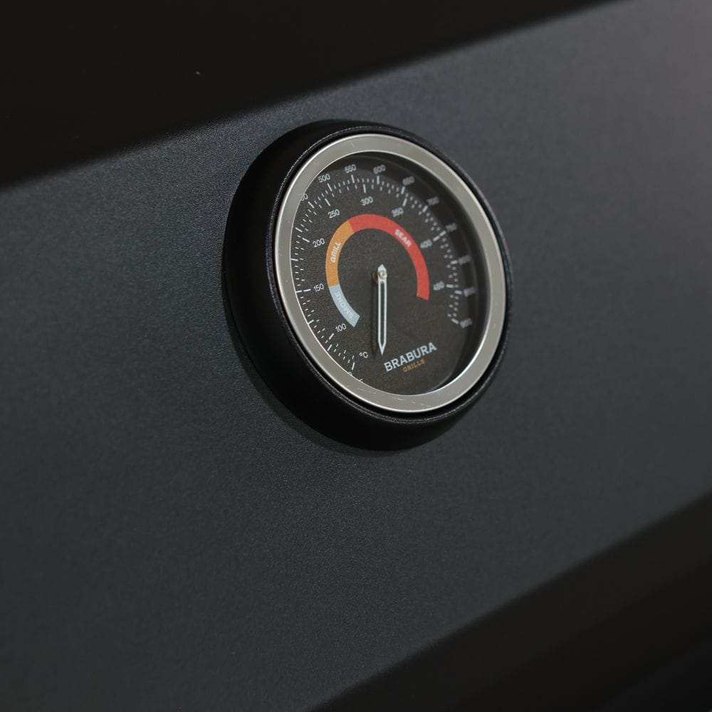 Fusion 500 RM Barbecue