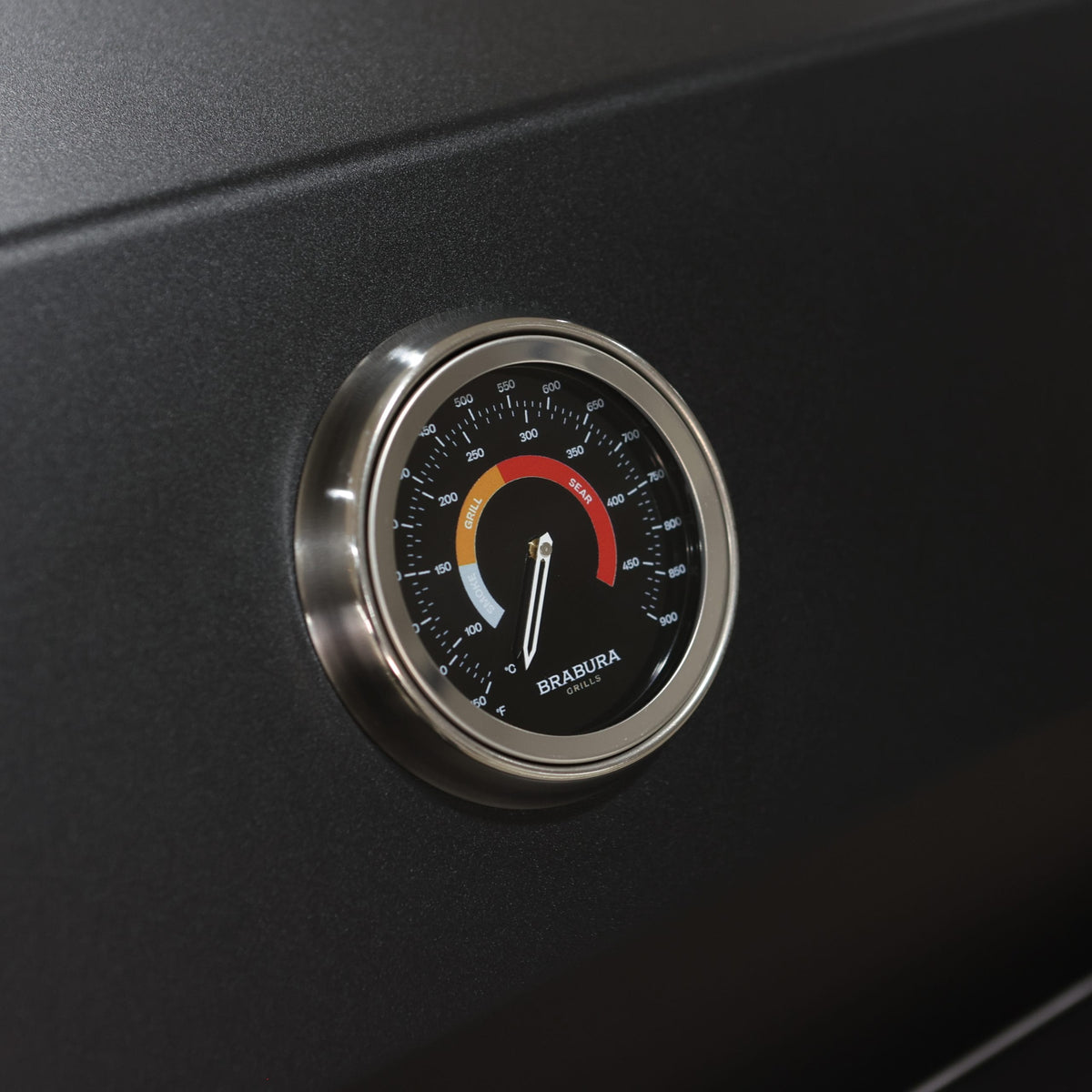 Fusion 300 LITE Barbecue