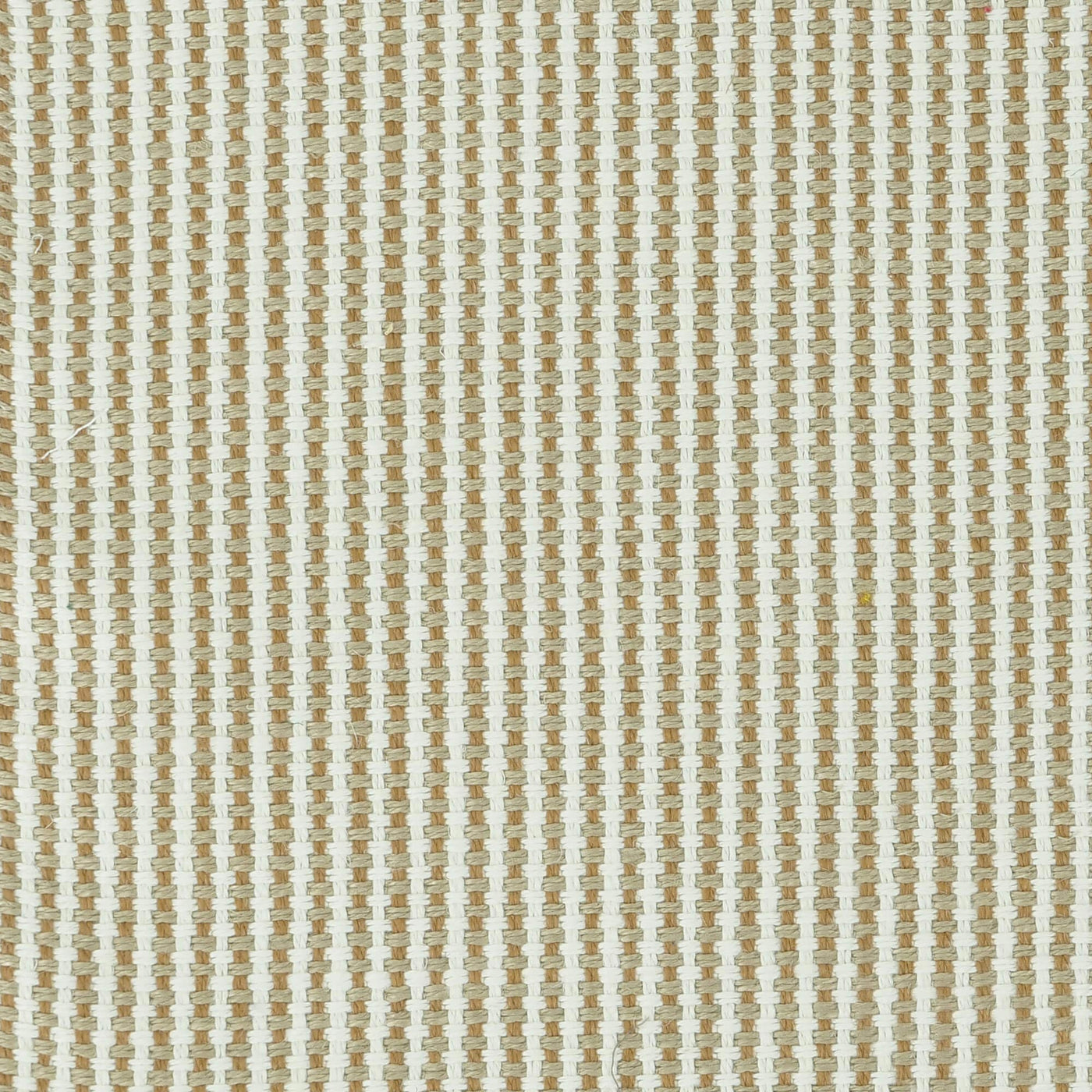 Solaris Evo ligbedmatras - Cosmopolitan Mushroom
