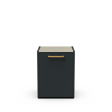 CT 60 Built-in Fridge Module