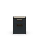 CT 60 Drawer with Bin Module