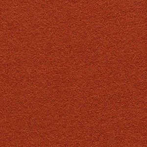 FAST swatch