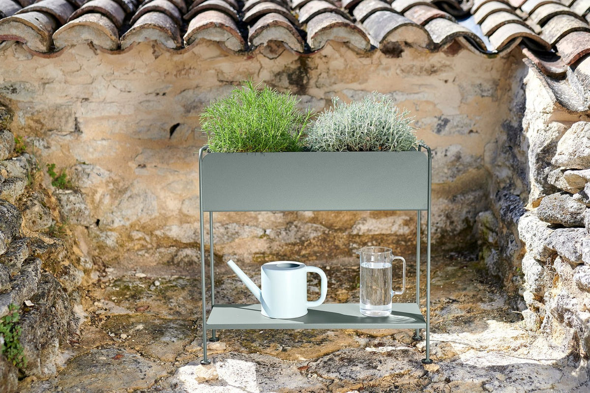 Picolino