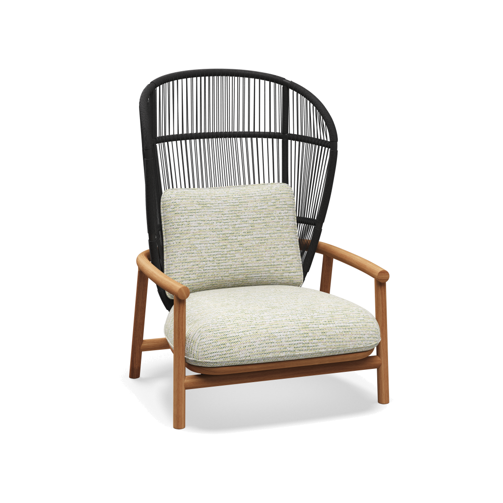 Fern High Back Lounge Chair — Meteor Raven met Zenith Stem