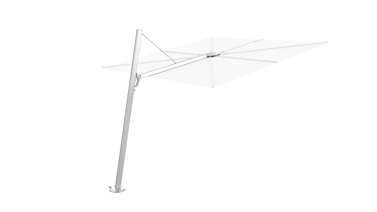 Umbrosa spectra 80 fw