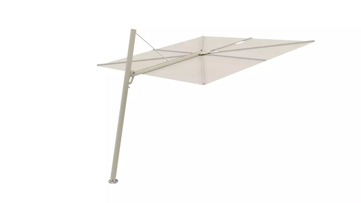 Umbrosa spectra 80 fw