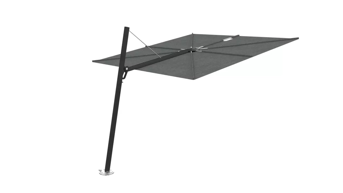 Umbrosa spectra 80 fw