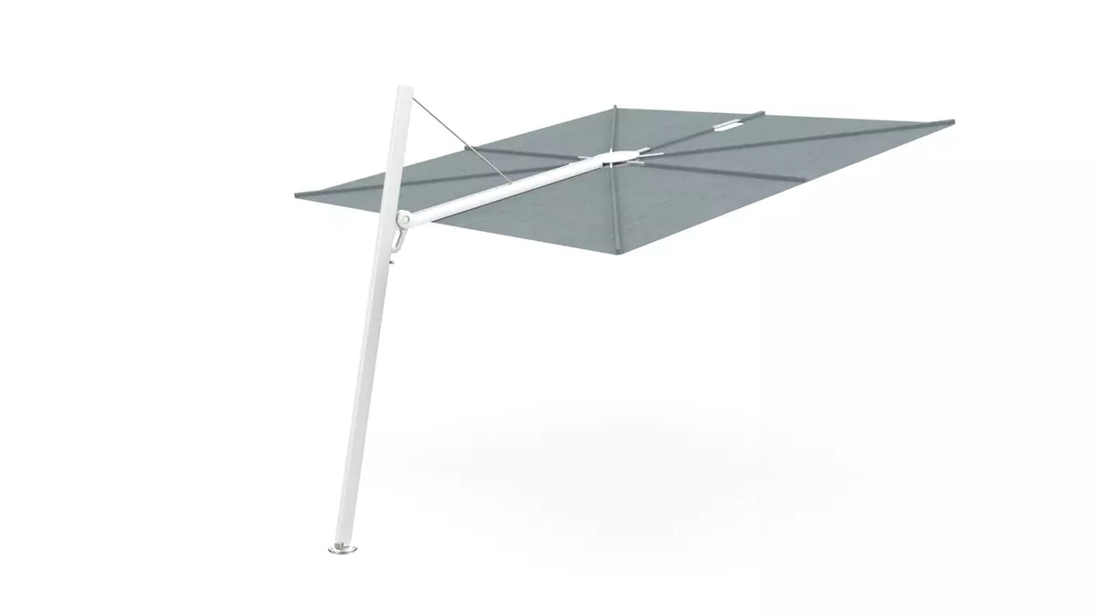 Umbrosa spectra 80 fw