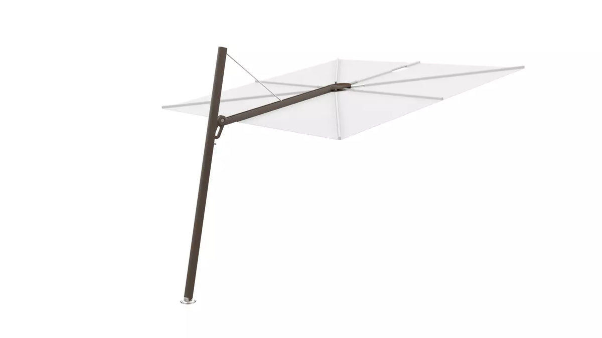 Umbrosa spectra 80 fw