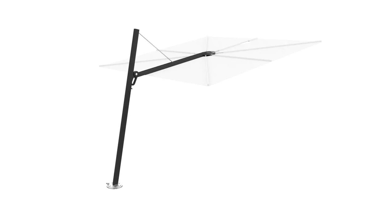 Umbrosa spectra 80 fw