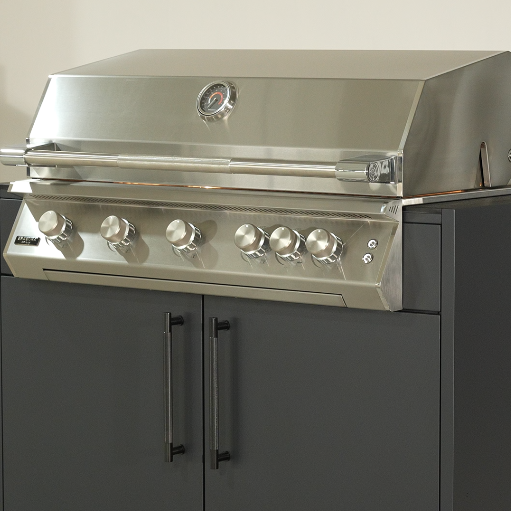 Fusion 500 RS Barbecue