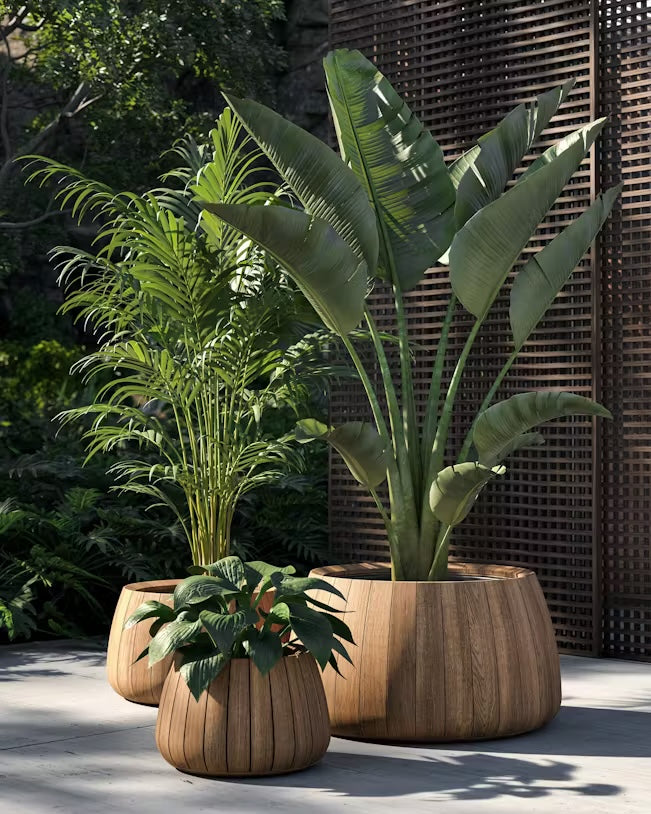Planters | Overview