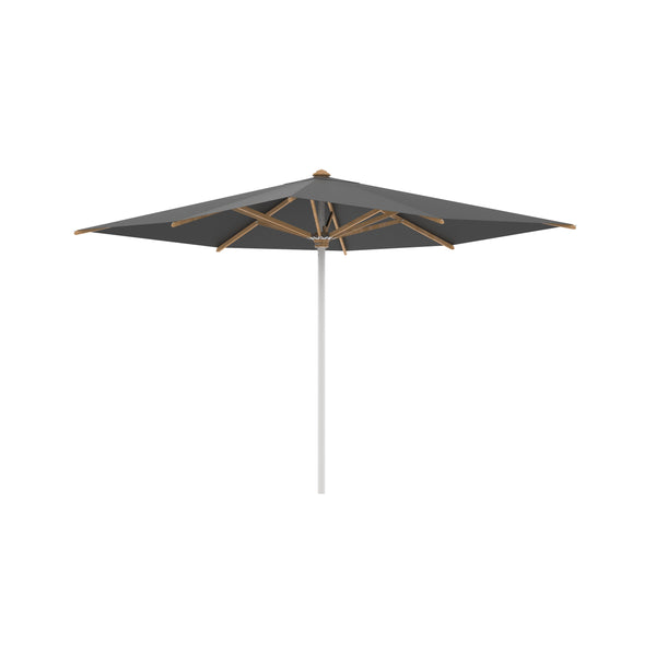 Shady Parasol in M Uni