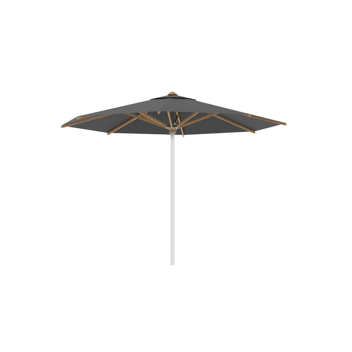 Shady Parasol Stainless Steel Ep M Canvas