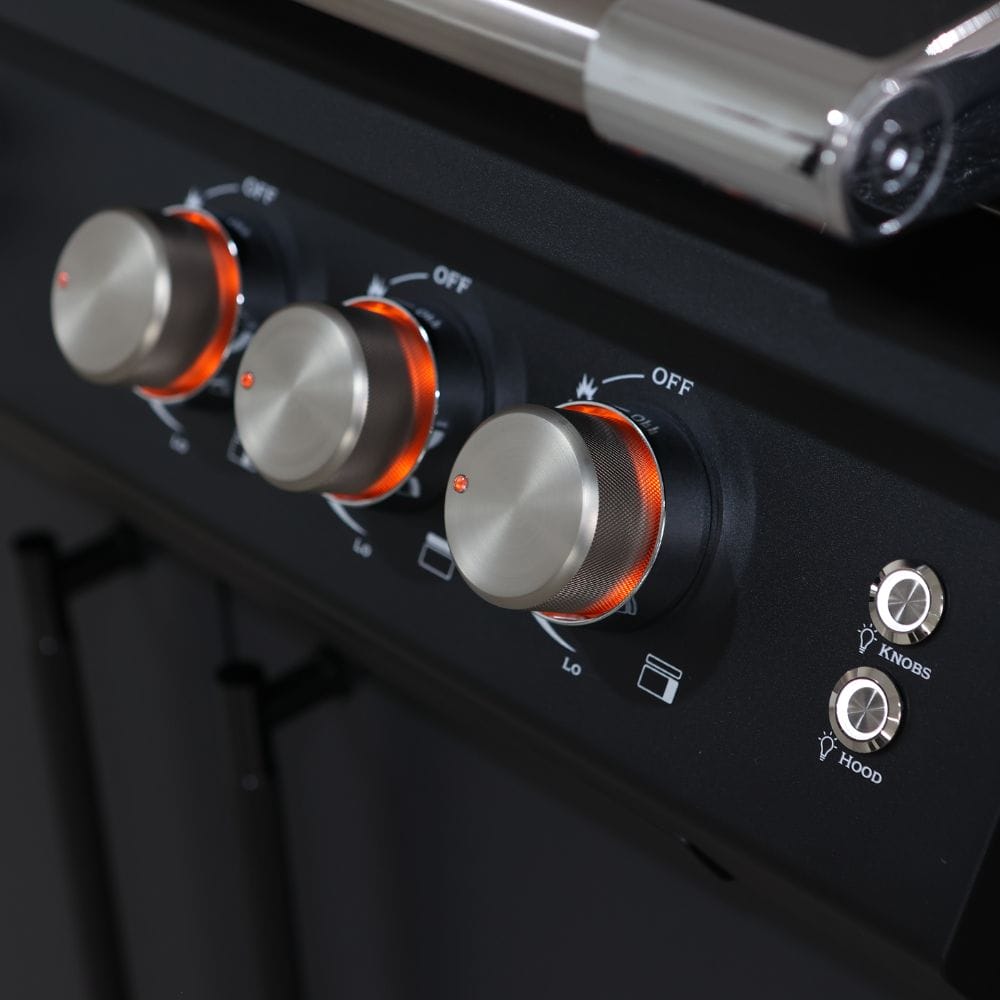 Fusion 500 RM Barbecue