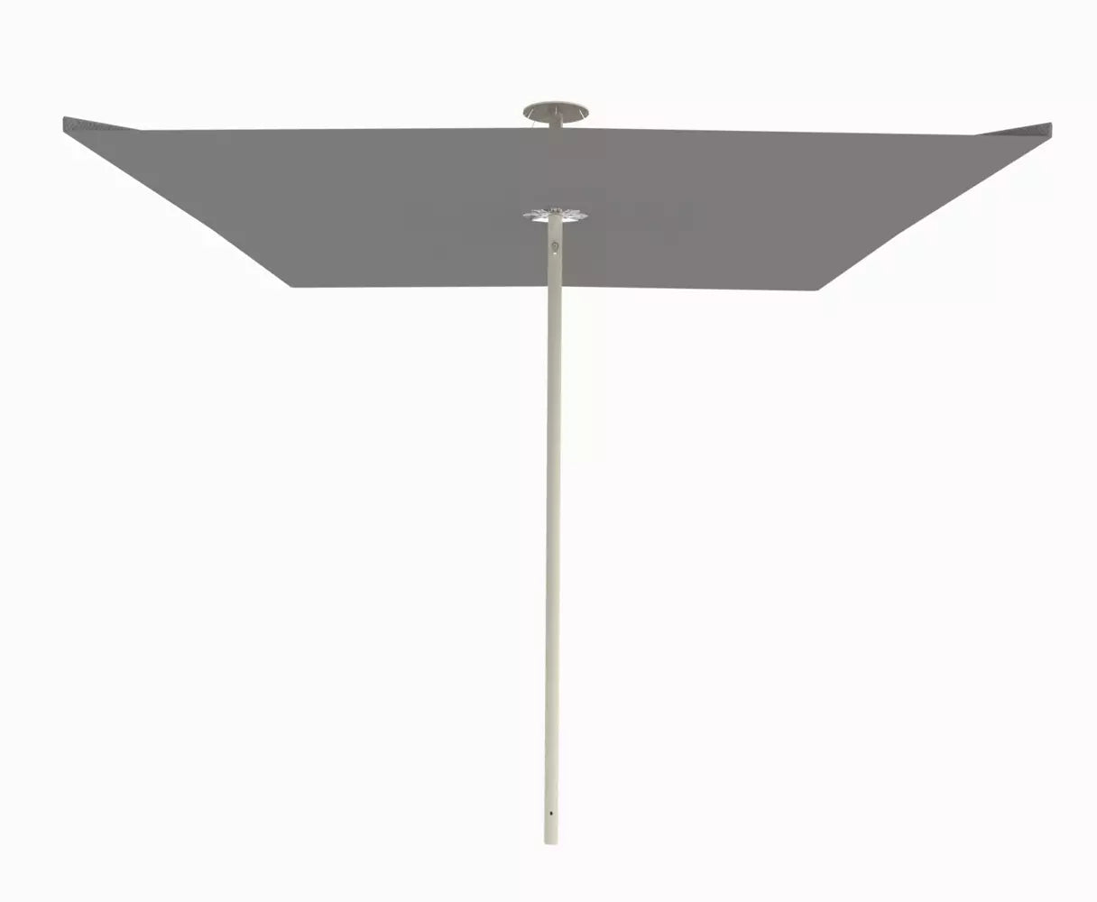 Umbrosa infina