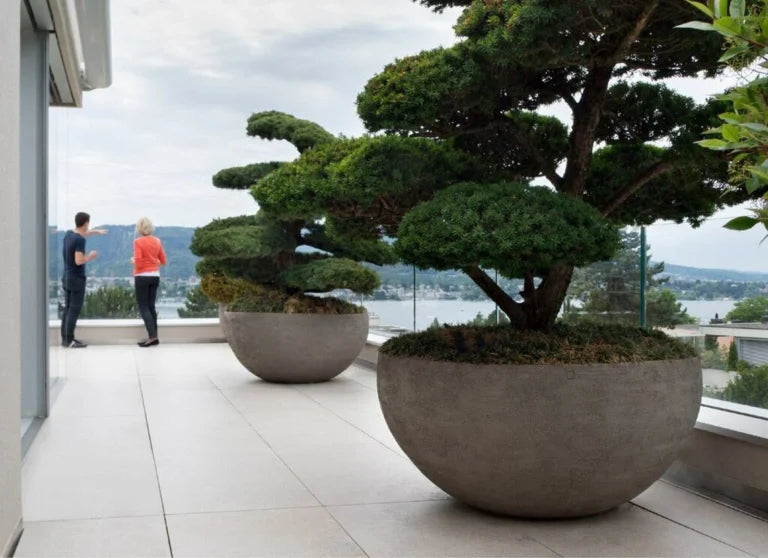Outdoor Styling