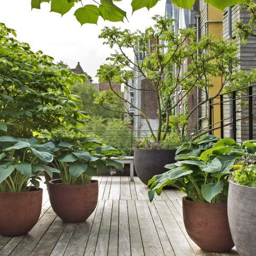Outdoor Styling