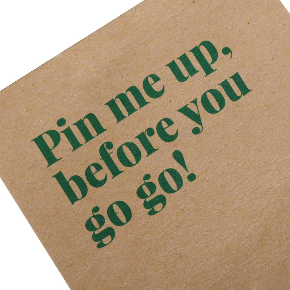 Big Green Egg Pin