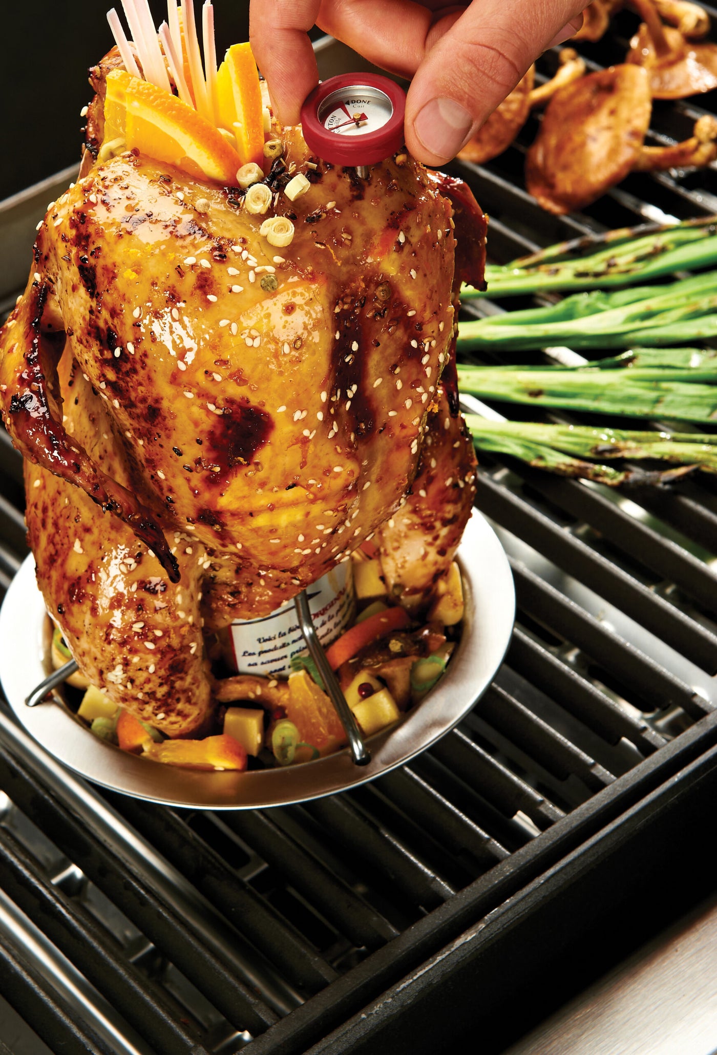 Chicken roaster
