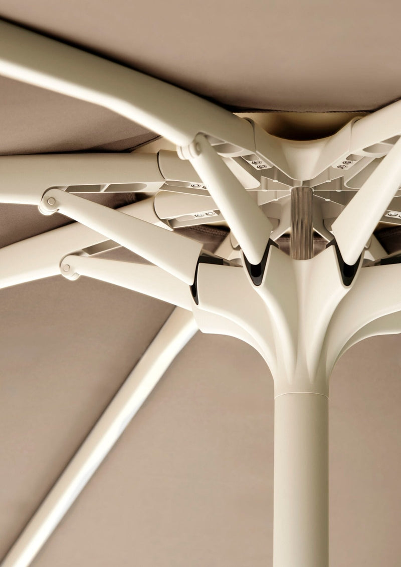 BLOOM PARASOL (2)