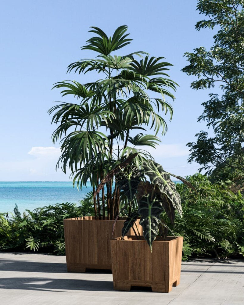 BOTNIQ-PLANTERS-819x1024