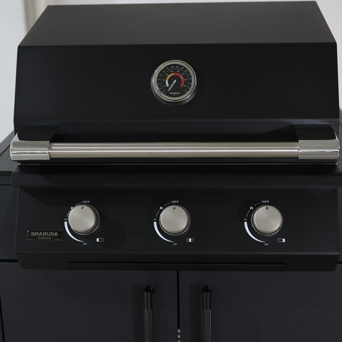 Barbecue Fusion 300 LITE
