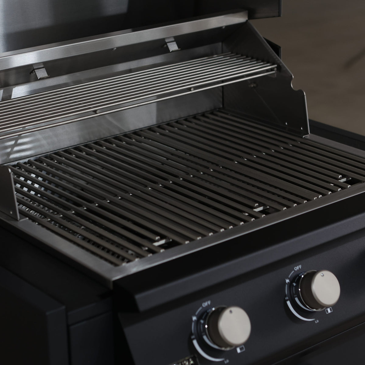 Barbecue Fusion 300 LITE
