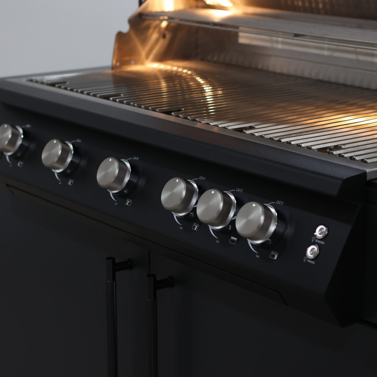 Fusion 500 RM Barbecue