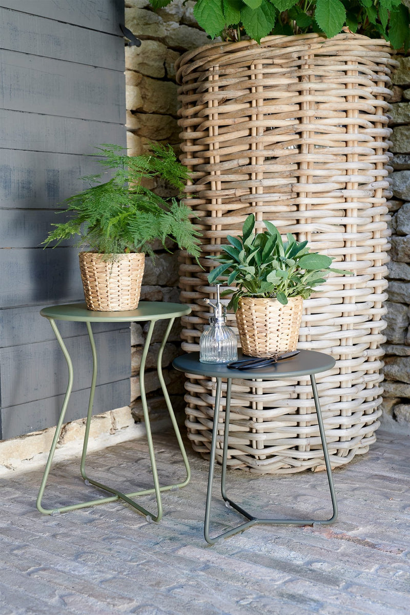 COCOTTE_CACTUS_ROMARIN_GORDES_BCJ23_SEBASTIEN_EROME_BD.jpg