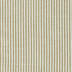 FAST swatch