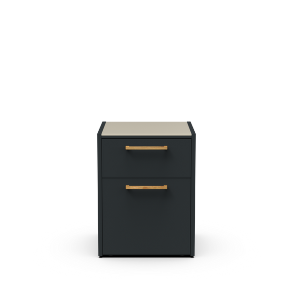 CT 60 Drawer with Bin Module