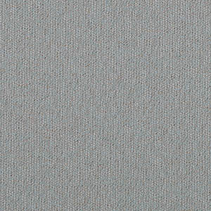 FAST swatch