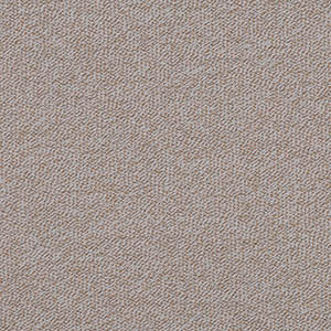 FAST swatch