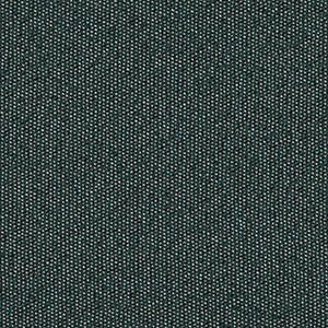 FAST swatch