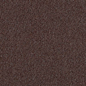 FAST swatch