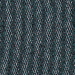 FAST swatch