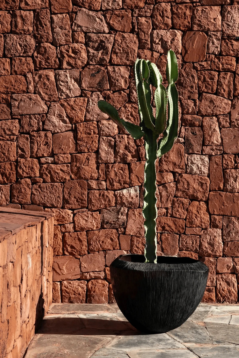 Domani