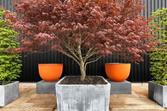 Outdoor Styling