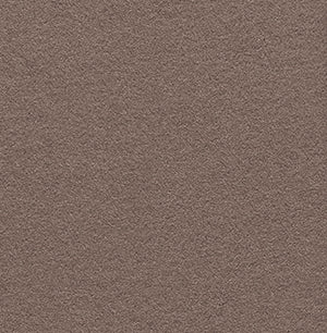 FAST swatch