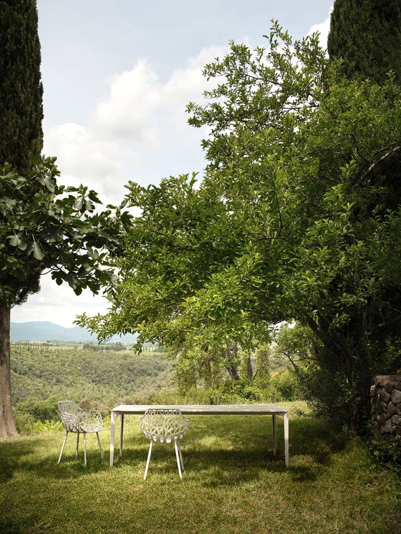 Forest-5.jpg