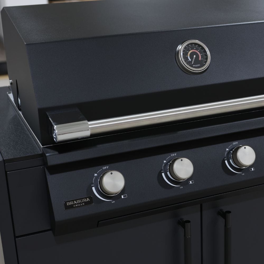 Barbecue Fusion 400 LITE