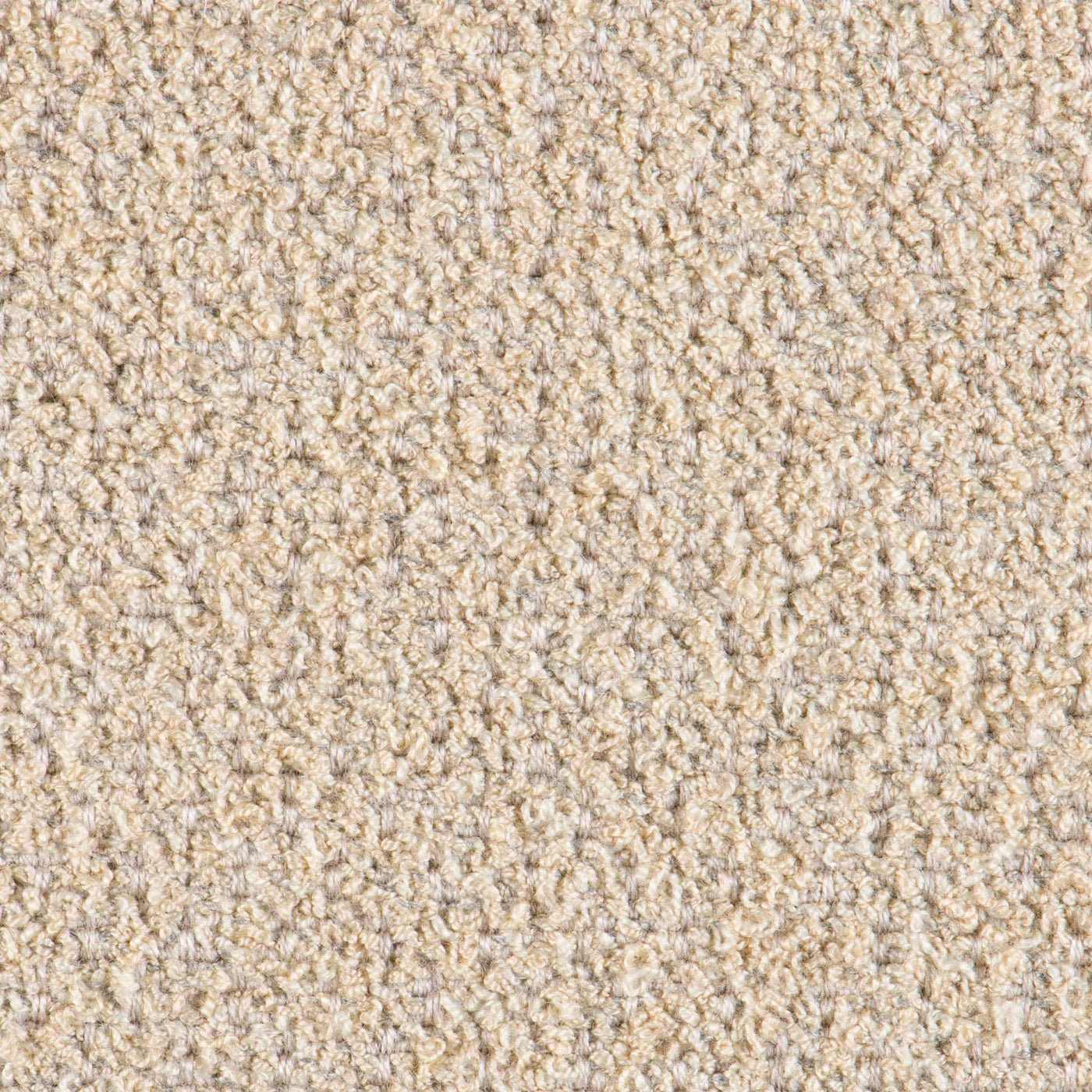 Ria zitkussen – staal