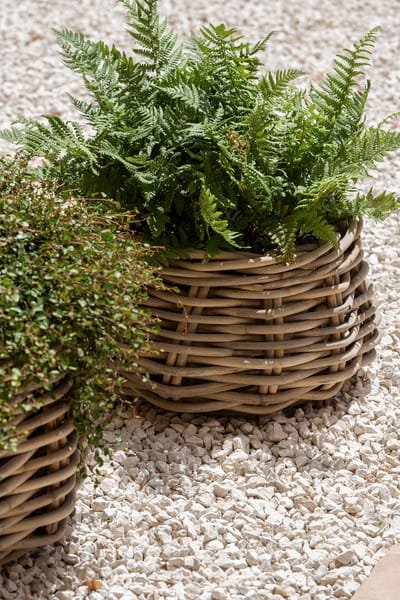 Gommaire-outdoor-rattan-baskets-basket_eric_low_set_of_2-G839-S2-CLR-Antwerp.jpg
