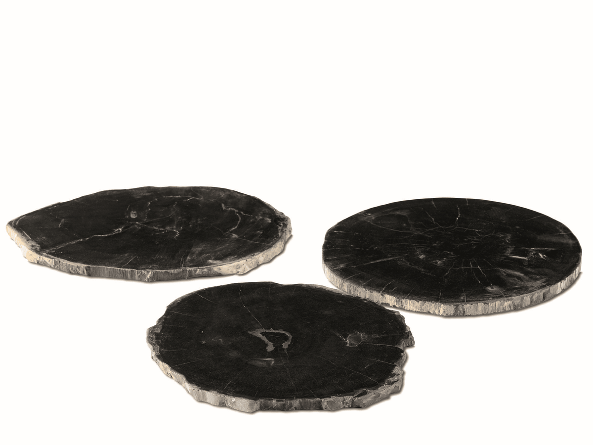 Petri Dish