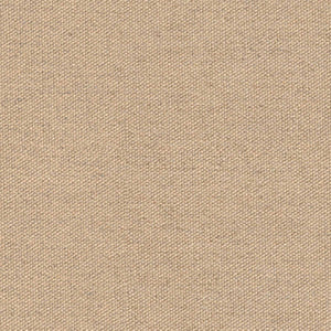 FAST swatch