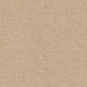 FAST swatch