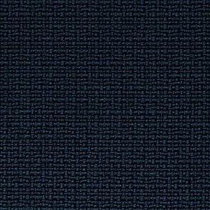 FAST swatch