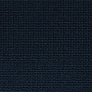 FAST swatch