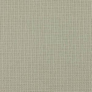 FAST swatch
